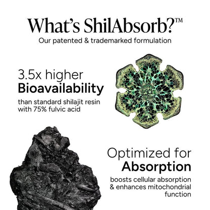 Root Labs Alpha Shilajit Gummies + E-Book