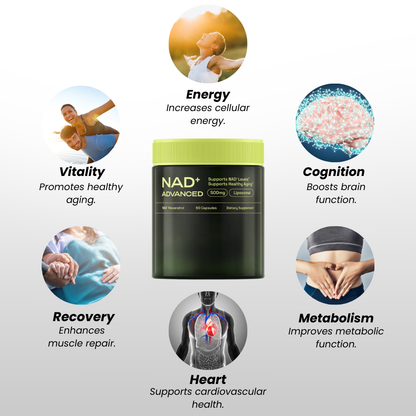 NAD+ Advanced Resveratrol 500mg