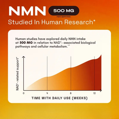 NMN Supplement Resveratrol Complex