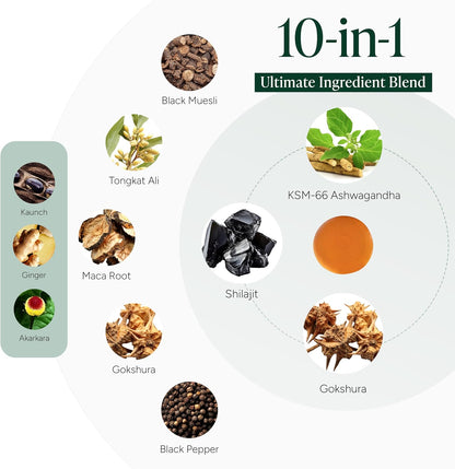 Root Labs Alpha Shilajit Gummies + E-Book